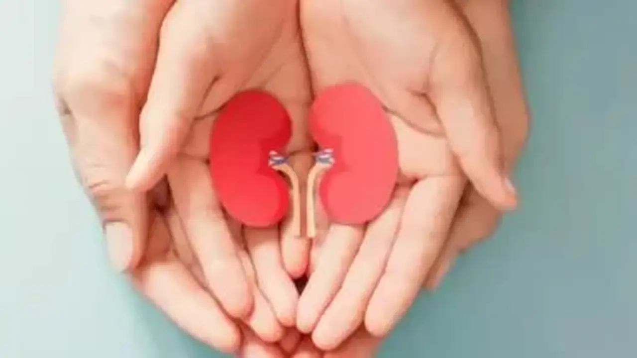 علامات أمراض الكلى في البول والجلد تظهر رغم شرب كمية كافية من المياه